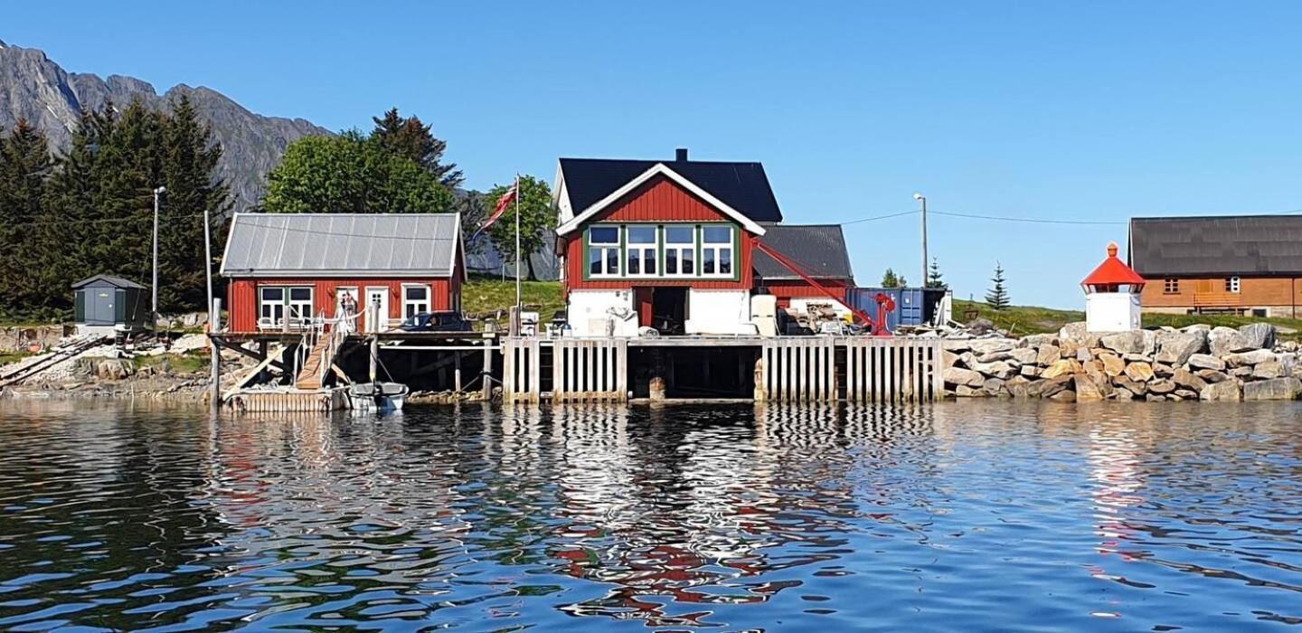Arctic Lofoten Mini Retreat - Enjoy The Silence! Vestvagoy Extérieur photo